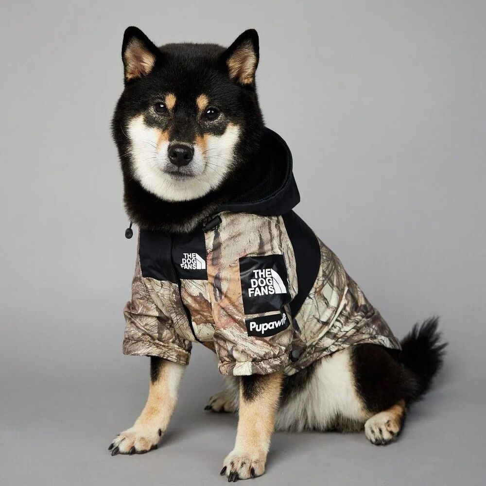 Dog Raincoat Outdoor Jacket, Waterproof and Windproof, Camo XL